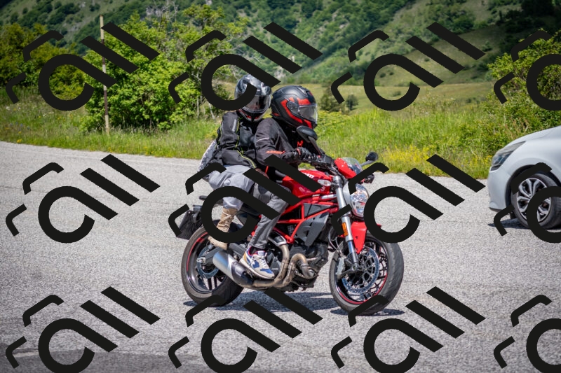 202505311243-DSC_5025_c2