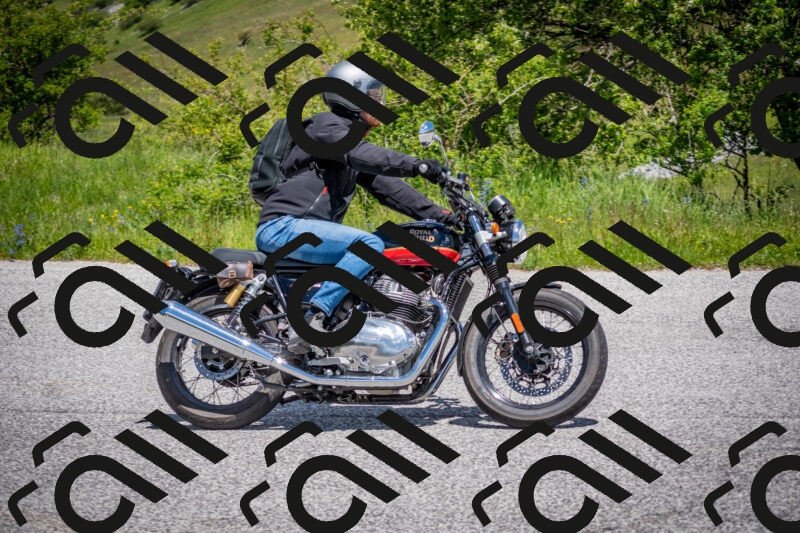 202505311244-DSC_5031_c2