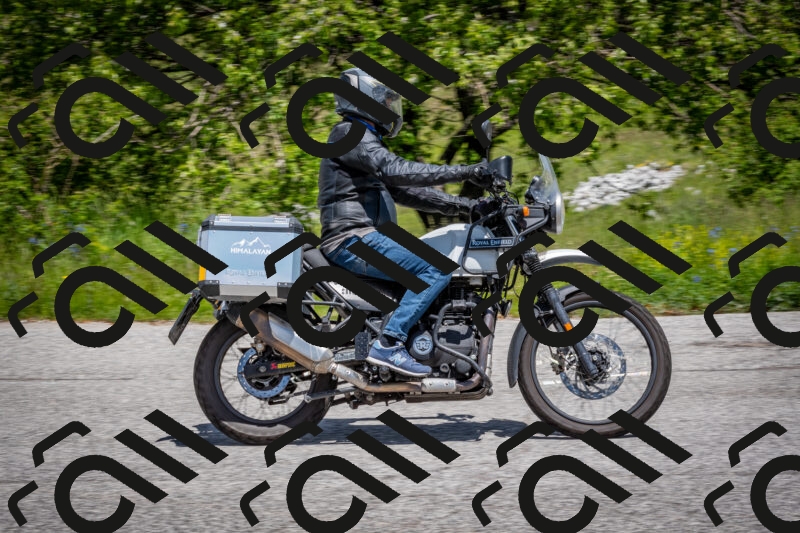 202505311245-DSC_5036_c2