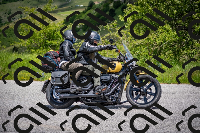 202505311252-DSC_5066_c2