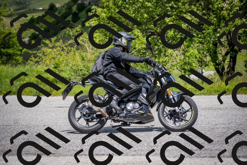 202505311252-DSC_5068_c2