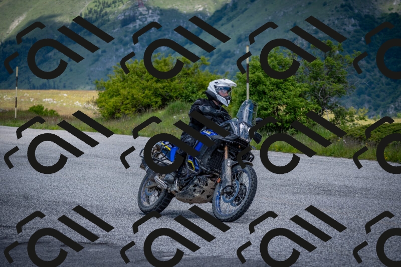 202505311257-DSC_5101_c2