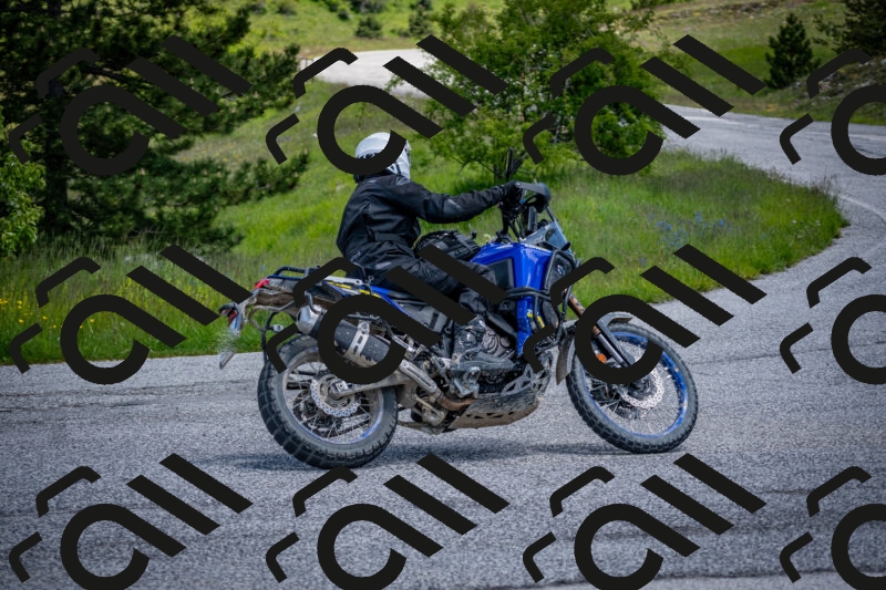 202505311258-DSC_5103_c2