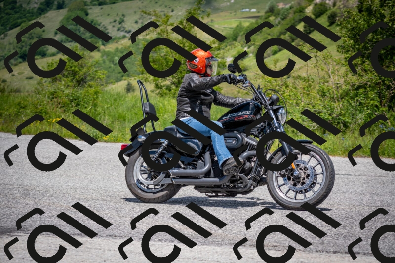 202505311259-DSC_5111_c2