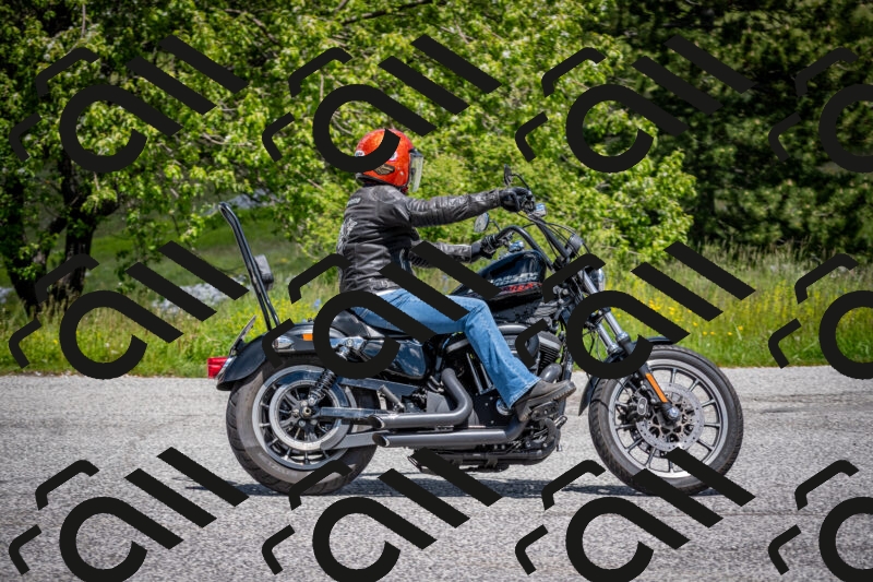 202505311259-DSC_5113_c2