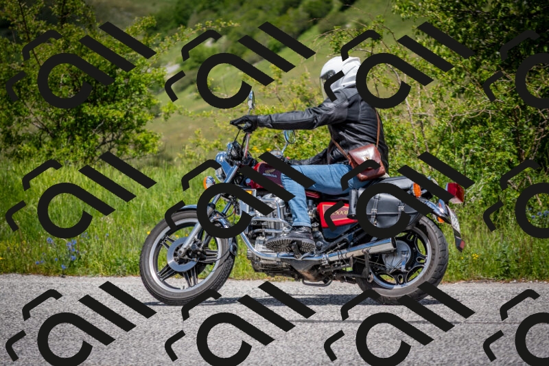 202505311300-DSC_5121_c2