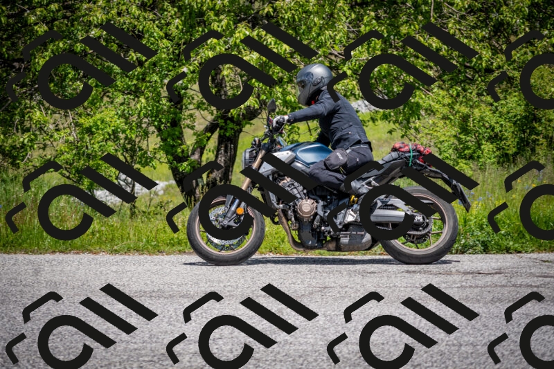 202505311300-DSC_5125_c2