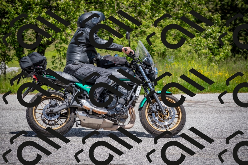 202505311301-DSC_5128_c2