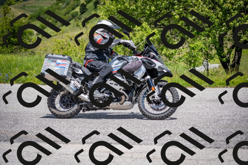 202505311301-DSC_5134_c2