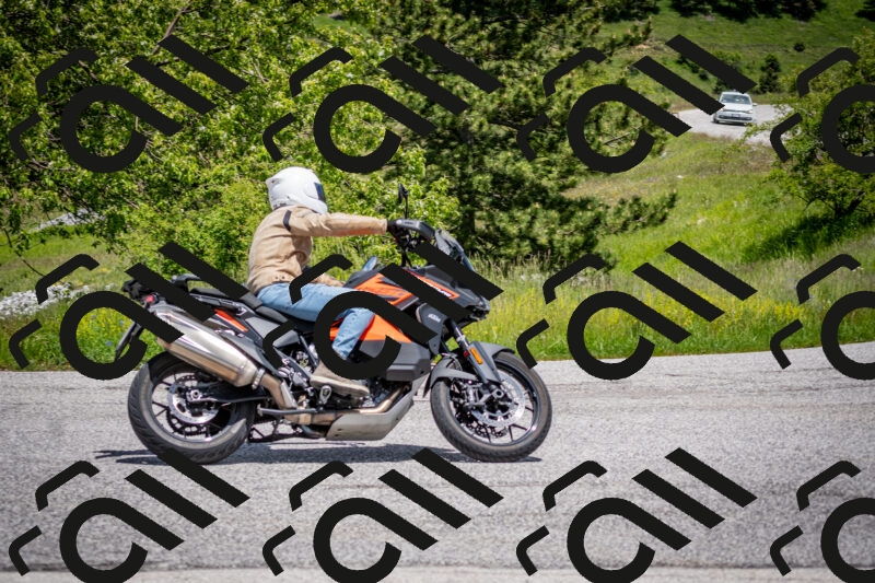 202505311302-DSC_5145_c2