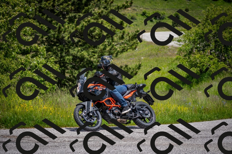 202505311302-DSC_5149_c2