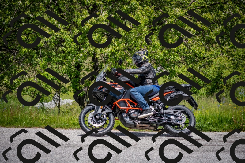 202505311302-DSC_5150_c2