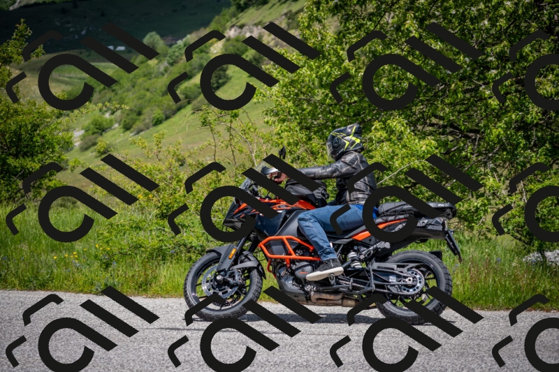 202505311302-DSC_5151_c2