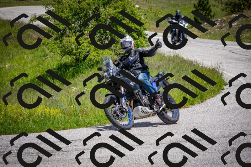 202505311303-DSC_5175_c2