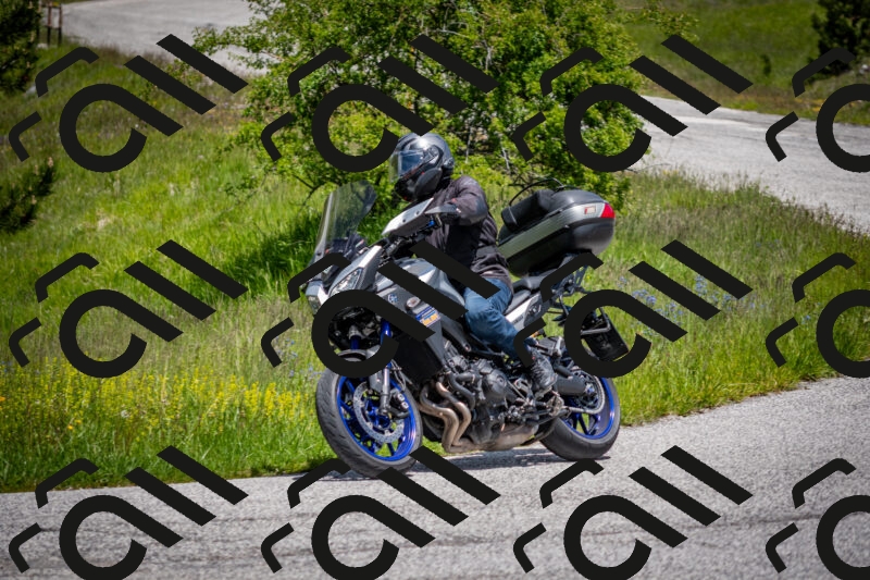 202505311303-DSC_5181_c2