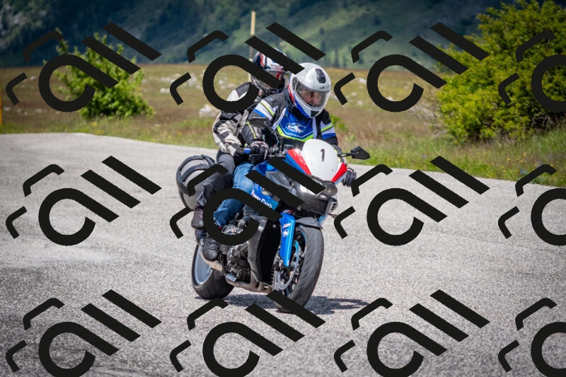 202505311303-DSC_5190_c2