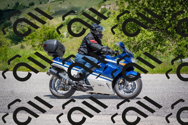 202505311303-DSC_5198_c2