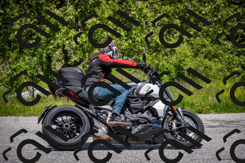 202505311304-DSC_5209_c2