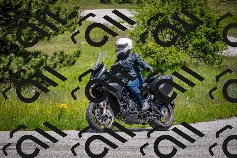 202505311305-DSC_5219_c2