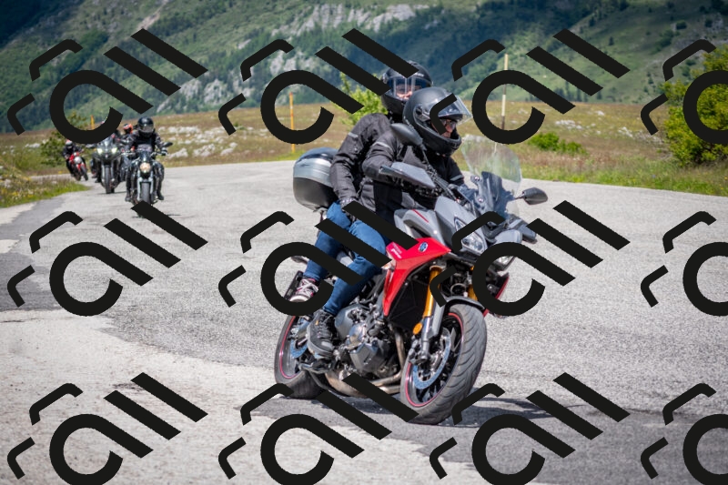 202505311309-DSC_5228_c2