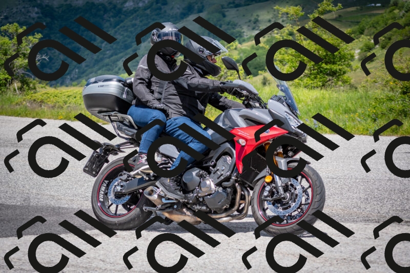 202505311309-DSC_5230_c2