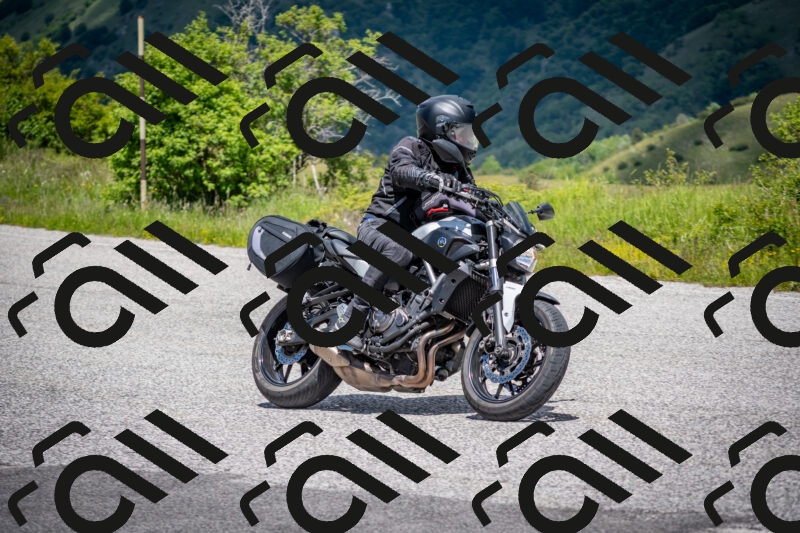 202505311309-DSC_5232_c2