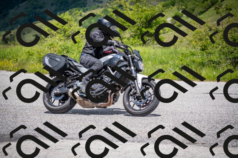 202505311309-DSC_5233_c2