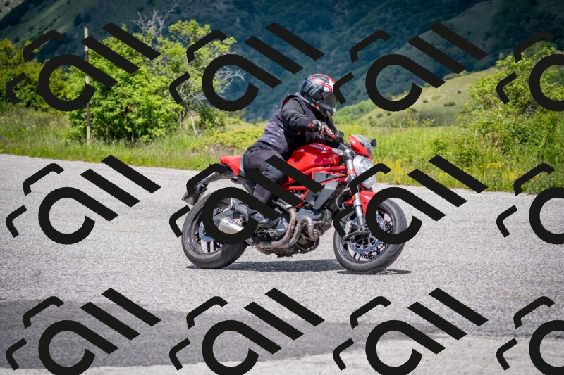 202505311309-DSC_5240_c2