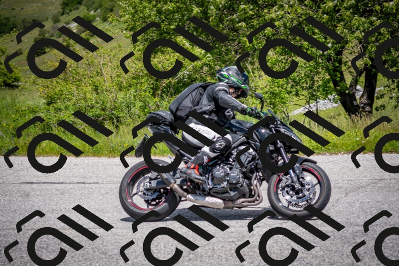 202505311312-DSC_5250_c2