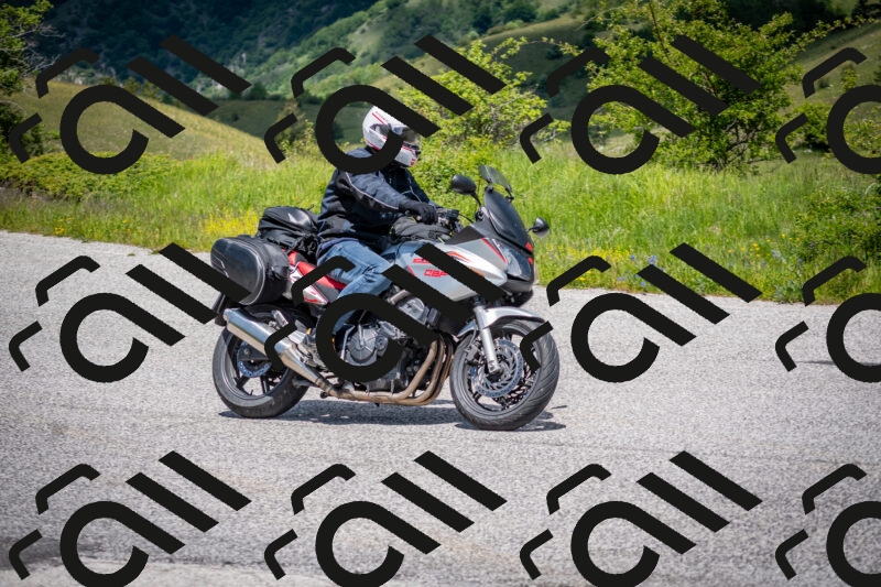 202505311314-DSC_5256_c2