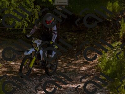 202505281106-_DSC5893_d1_