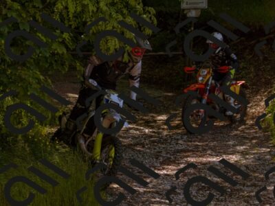 202505281106-_DSC5894_d1_