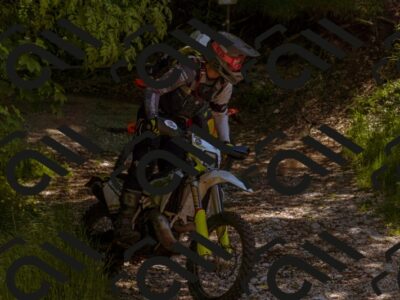 202505281106-_DSC5895_d1_