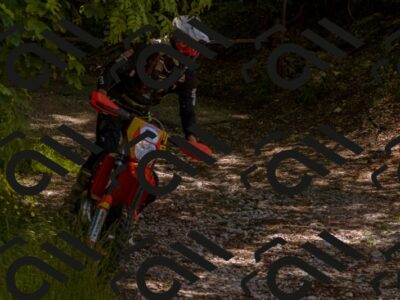 202505281106-_DSC5896_d1_