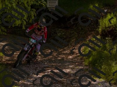 202505281106-_DSC5898_d1_