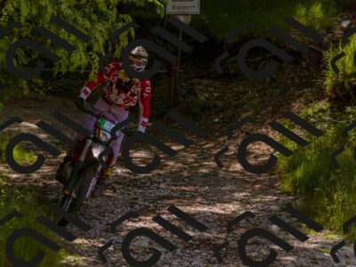 202505281106-_DSC5899_d1_