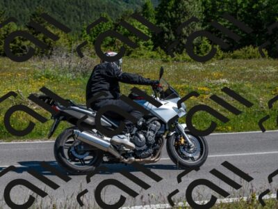 202506011029-M01_9568_m1_