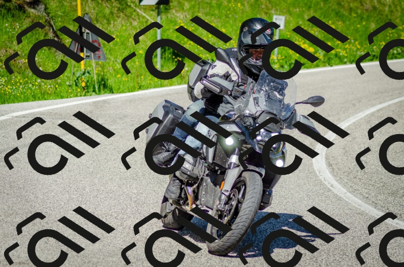 202506011029-DSC_2428_c2