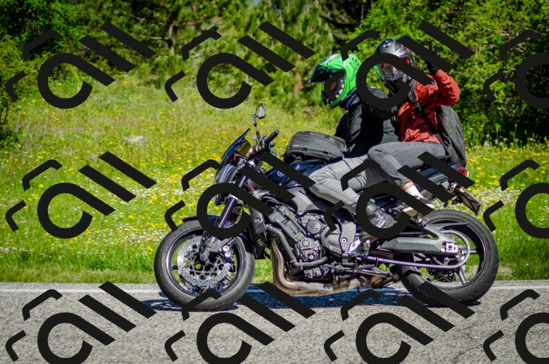 202506011030-DSC_2440_c2