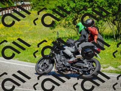 202506011030-DSC_2441_c2