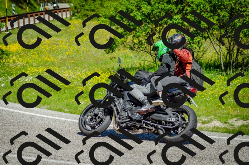 202506011030-DSC_2441_c2