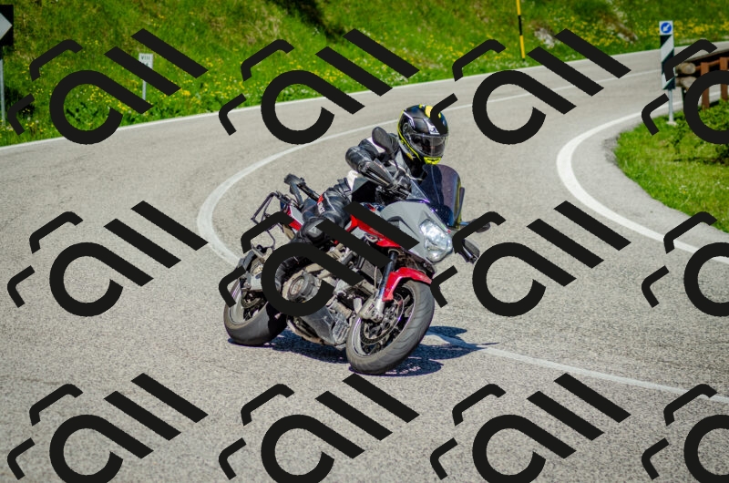 202506011030-DSC_2443_c2