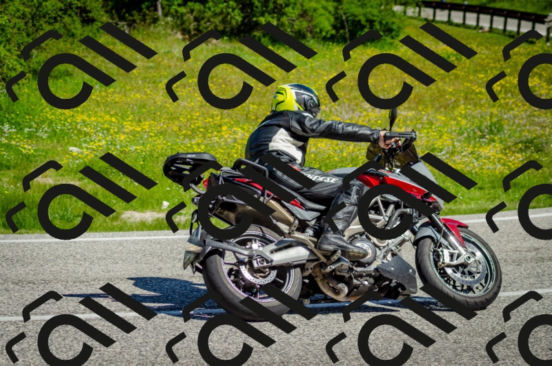 202506011030-DSC_2444_c2