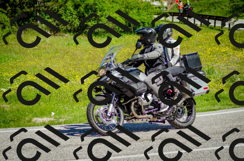 202506011031-DSC_2446_c2