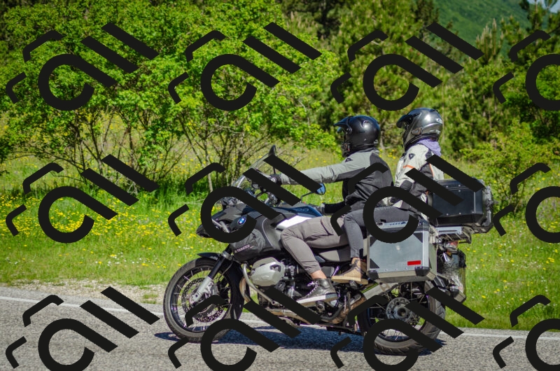 202506011031-DSC_2447_c2