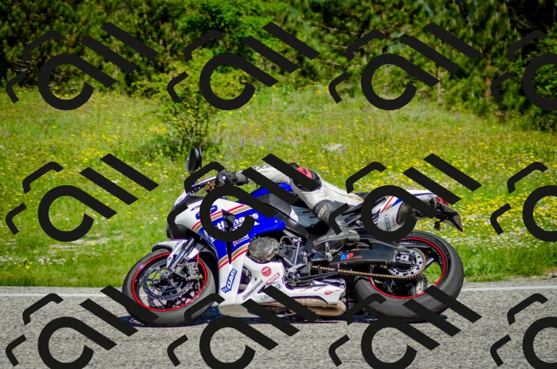 202506011031-DSC_2450_c2