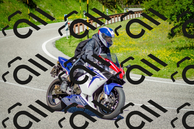 202506011033-DSC_2456_c2