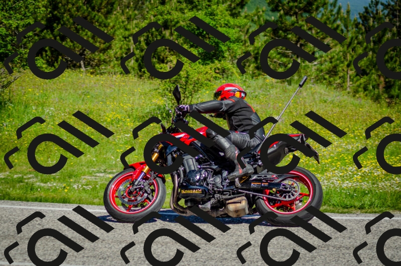 202506011033-DSC_2460_c2