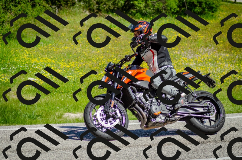 202506011034-DSC_2465_c2