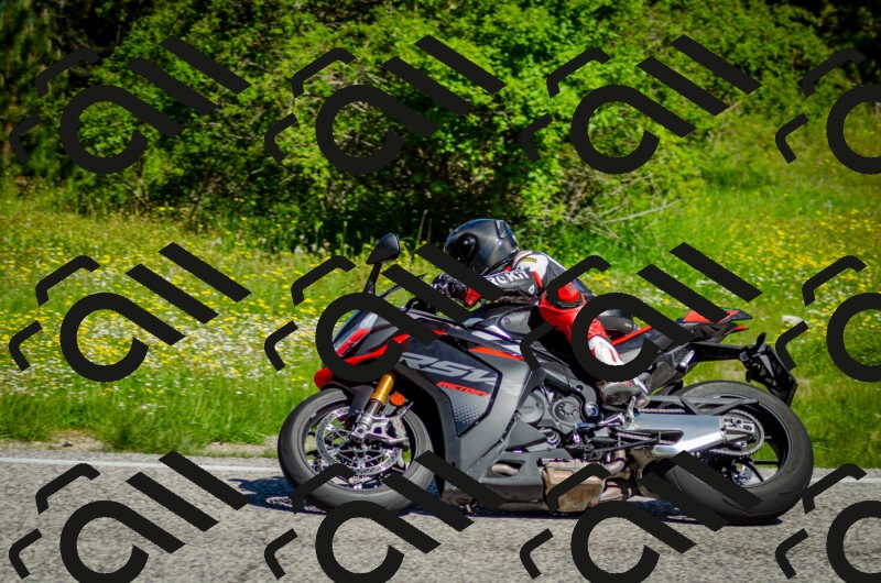 202506011034-DSC_2481_c2